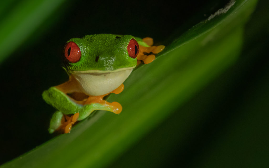 Naturfotografie Olaf & Sylvia Rentzsch