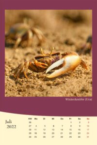 Kalender,Tierkalender,